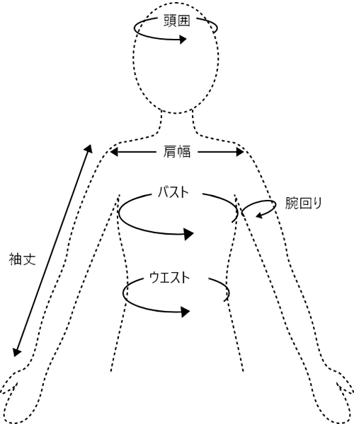 モデルサイズ 上半身