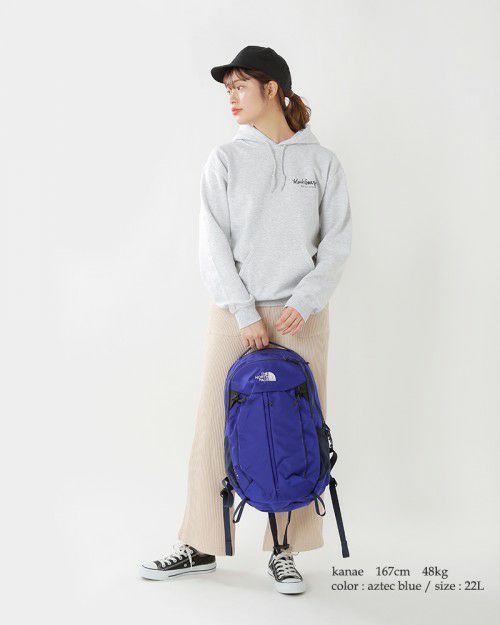 THE NORTH FACE(ノースフェイス)420Dナイロンデイパック“Gemini