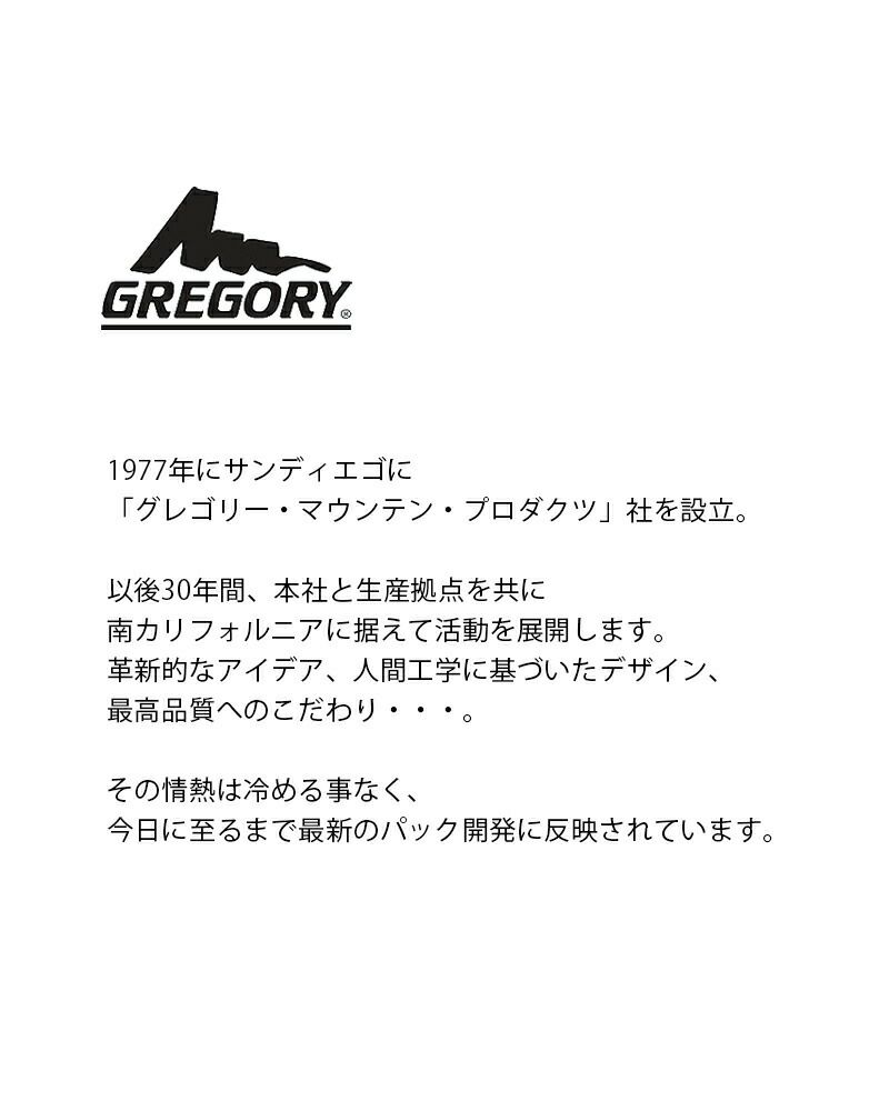 GREGORY グレゴリー クラシック カラー デイパック 18L “Fine Day V2 
