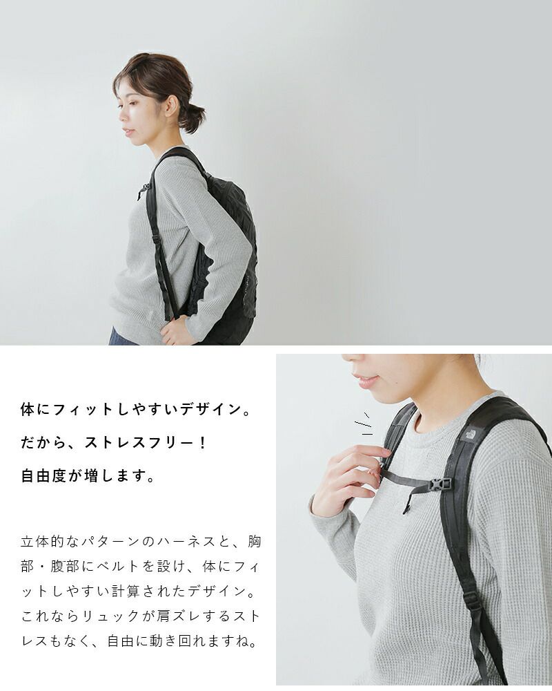 THE NORTH FACE(ノースフェイス) 22L リップストップナイロン