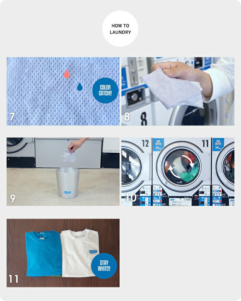 クーポン対象】FREDDY LECK フレディ レック カラーキャッチシート 40P