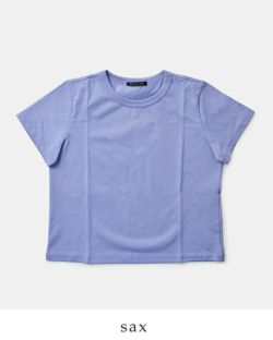 新品　ミズイロインド　シアーコットンクルーネックTシャツ　フリーサイズ mizuiroind / ミズイロインド シアークルーネックT,レディース