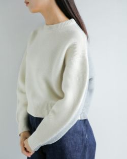 ANNUAL アニュアル ウール カシミヤ バイカラー クルーネック